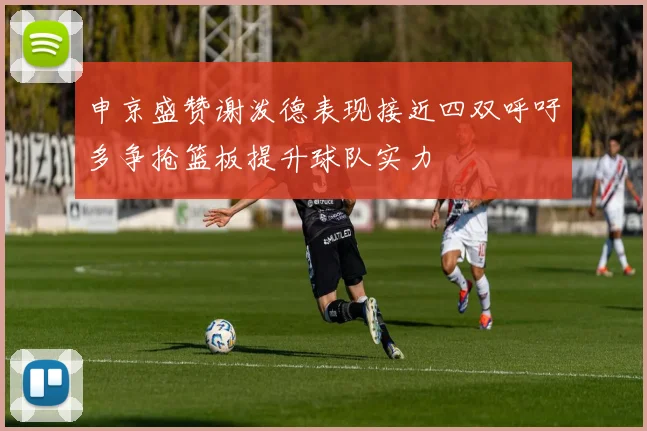 申京盛赞谢泼德表现接近四双呼吁多争抢篮板提升球队实力