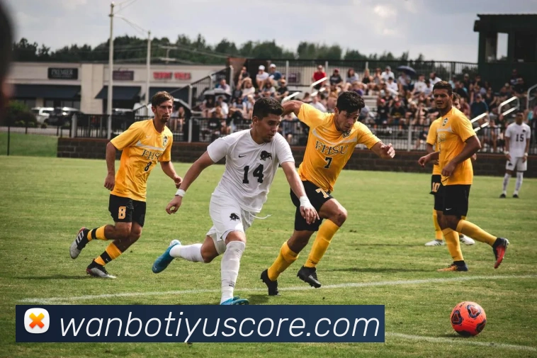 App Interface Preview